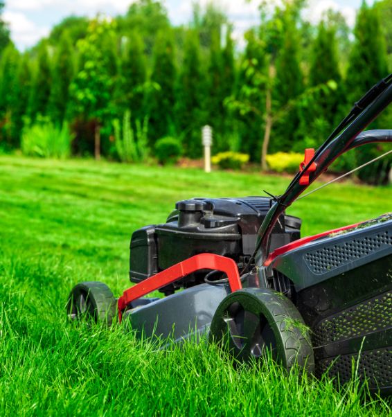 close up lawn mower cutting tall green grass 2 lexington sc