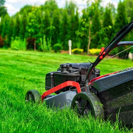 close up lawn mower cutting tall green grass lexington sc